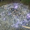 patatada_2010 (6)